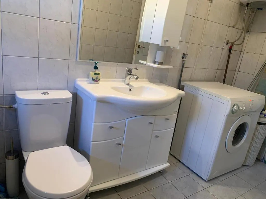 Apartment Topla