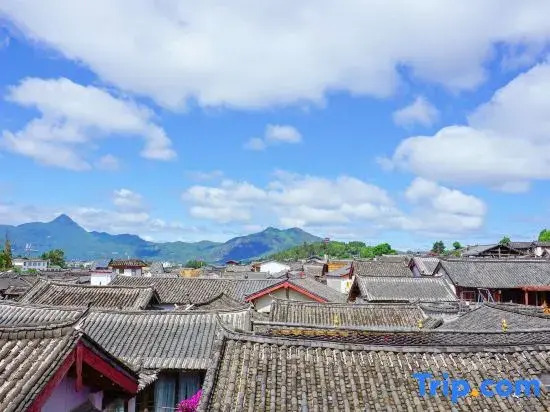 Sanfang Qixiang · Cute Pet | Travel Photography holiday Villa