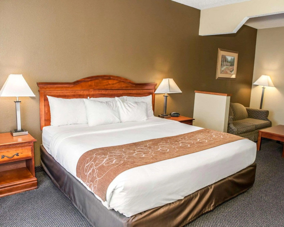 Comfort Suites Auburn near I-69