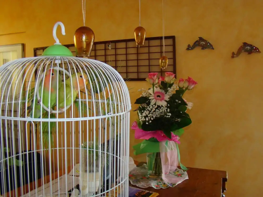 Il Casale