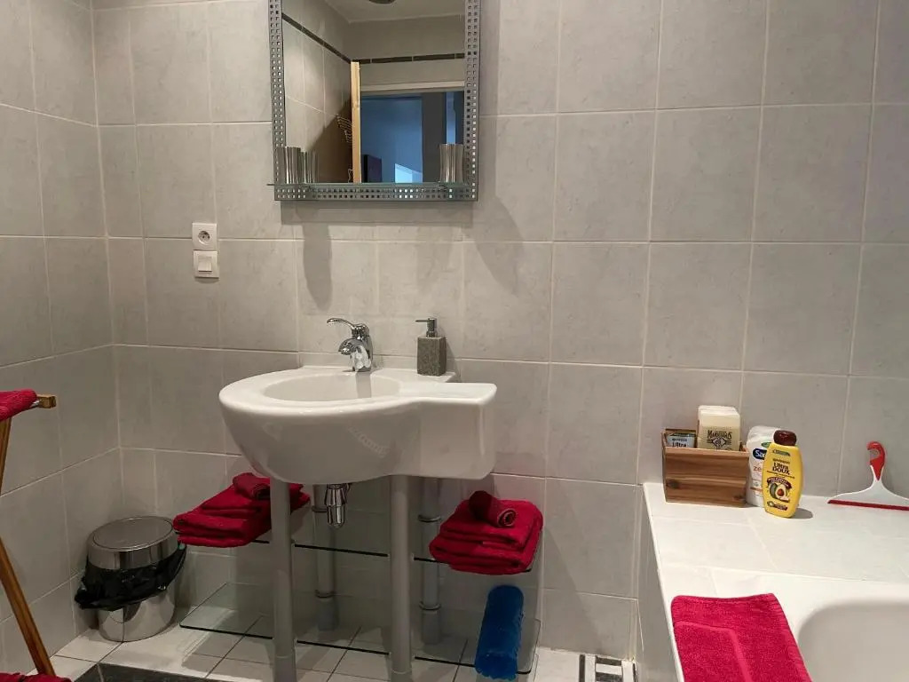 Appartement au calme avec terrasse verdoyante entre Annecy et Genève