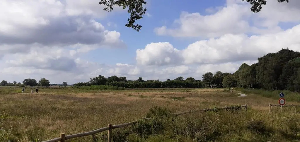 Drentse bungalow in natuur en rust