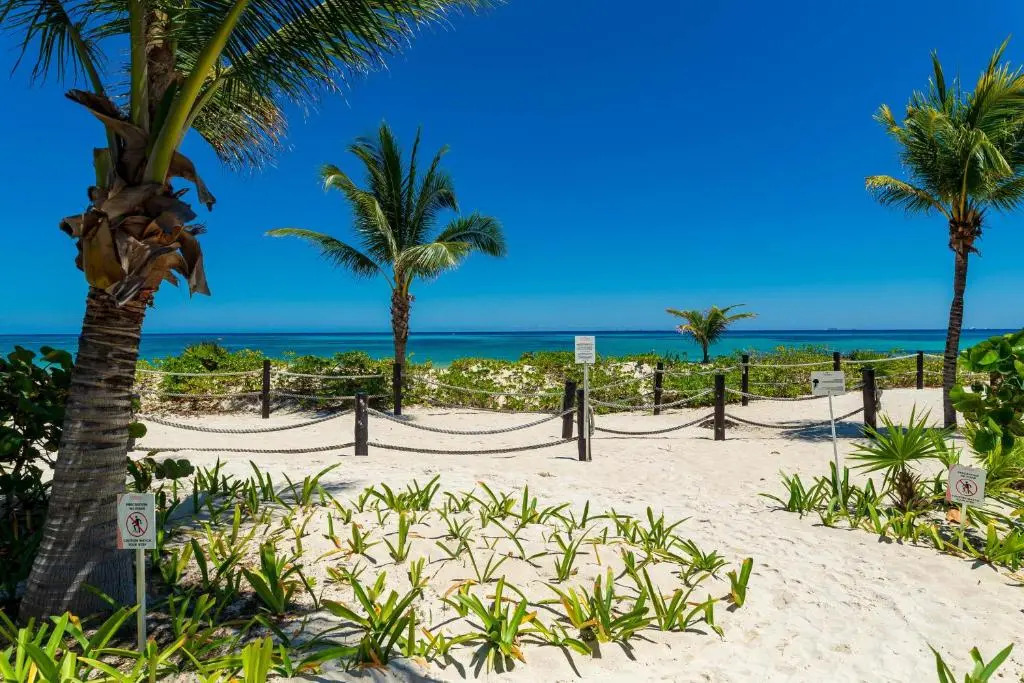 Hakuna Matata 725N at Mareazul Beachfront