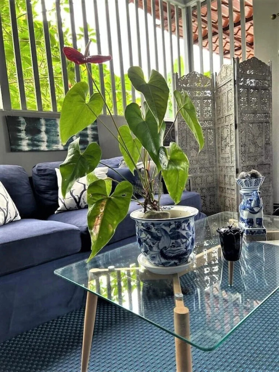 Casa Sophia
