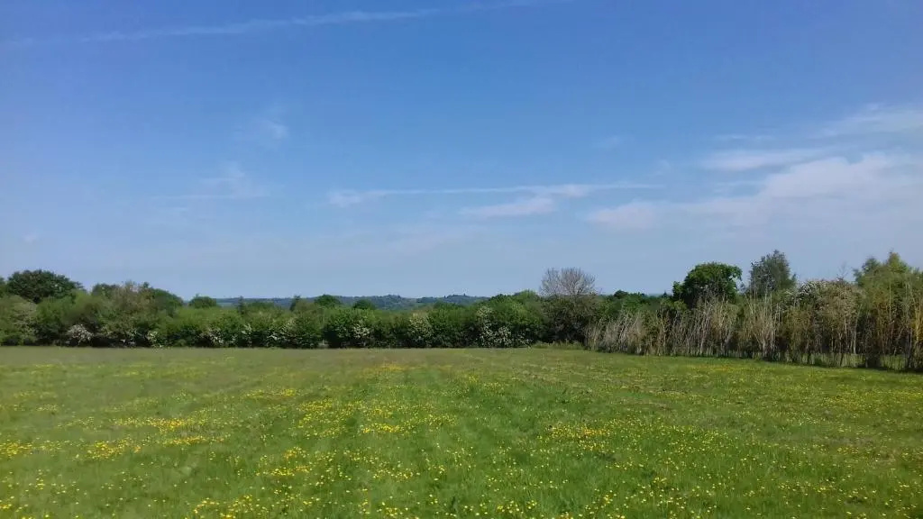 Hopgarden Glamping - Luxury 6m bell tent