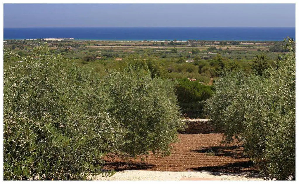 Rustico degli Ulivi