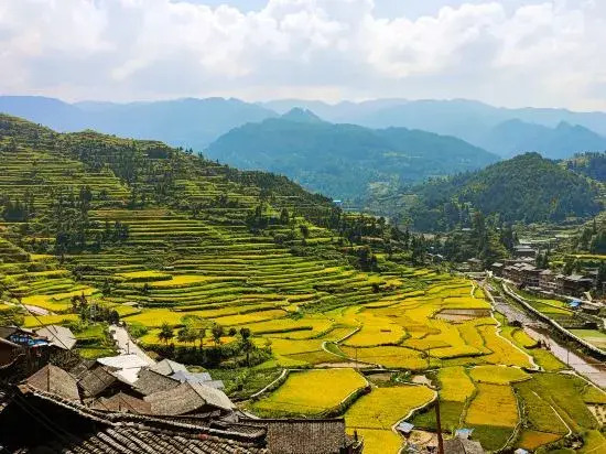 Picking up Light Preface·Xiansi Homestay
