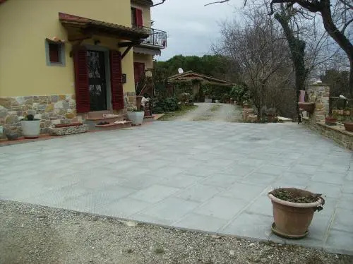 Il Vecchio Cipresso