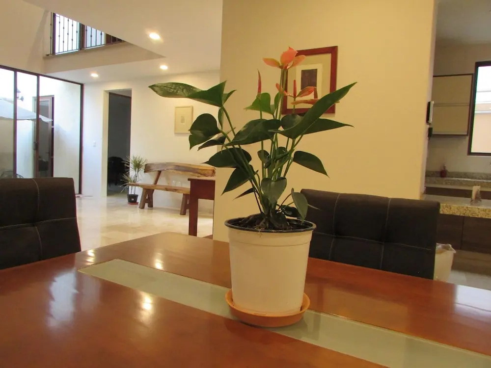 Casa Vacacional Jalatlaco
