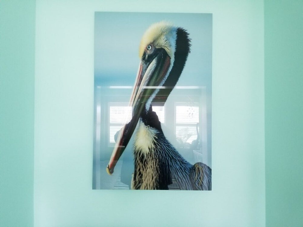 Rusty Pelican Home