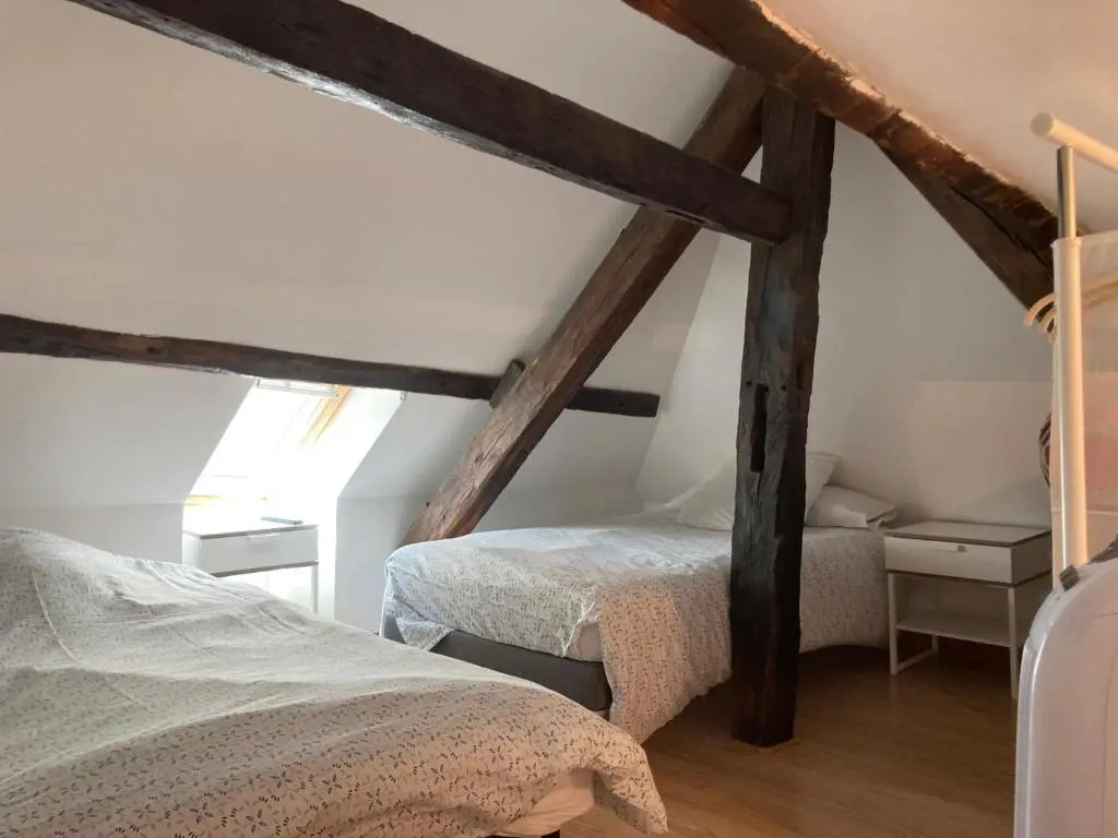 T3 duplex hyper centre ville historique troyes