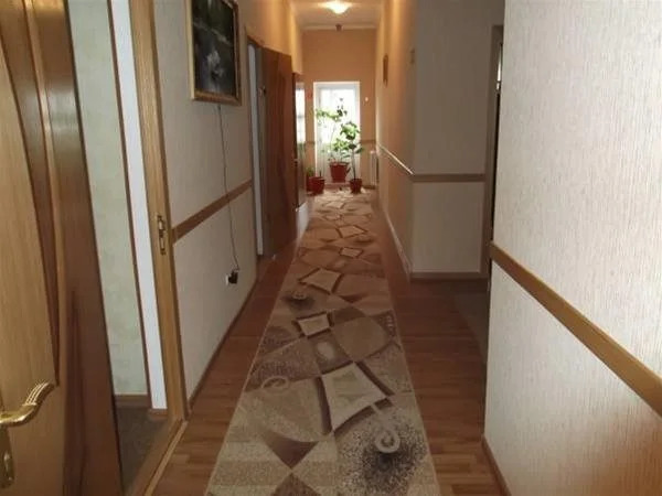 Krokus