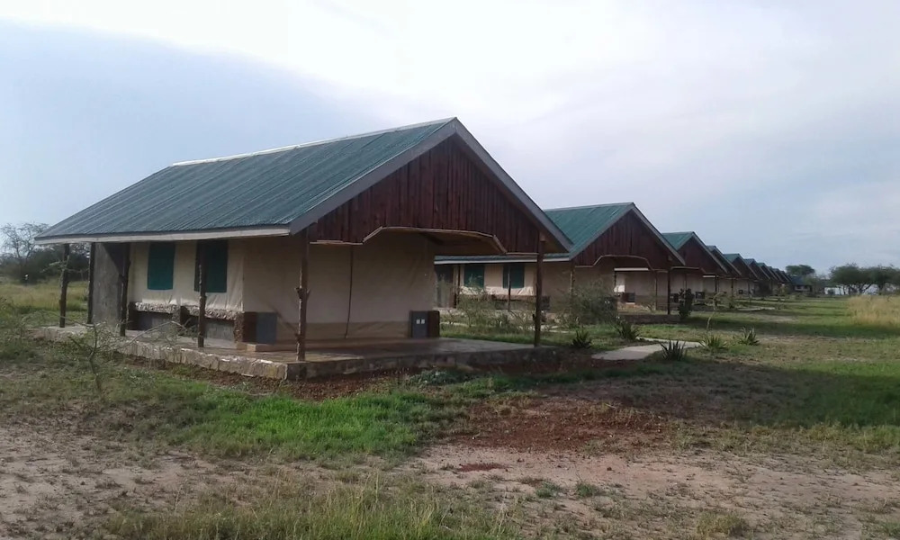 Zebra Kemang'ore Bush Tented Lodge