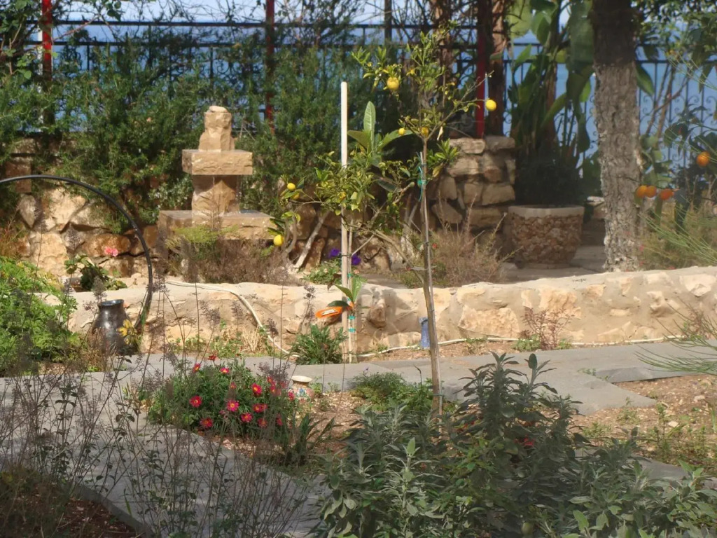 Tamer Guest house