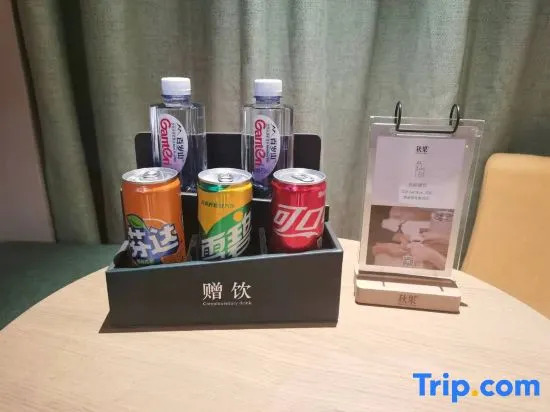 TRUE GO Hotel (Harbin Central Avenue Songhua River Riverside Road)