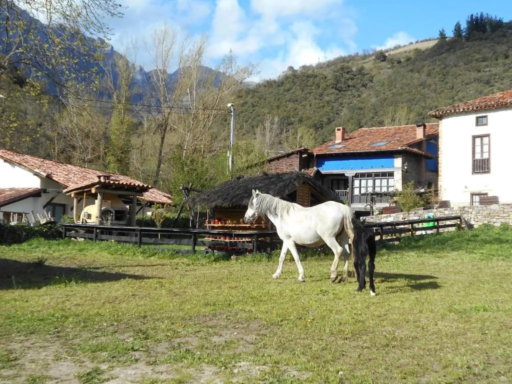 Apartamentos Samelar