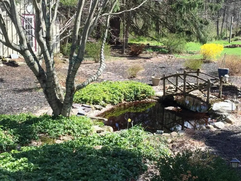 The Frogtown Inn