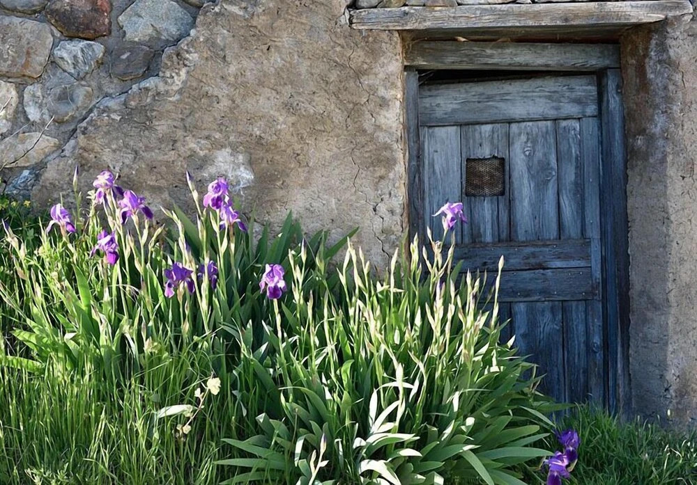La Maison Abeil