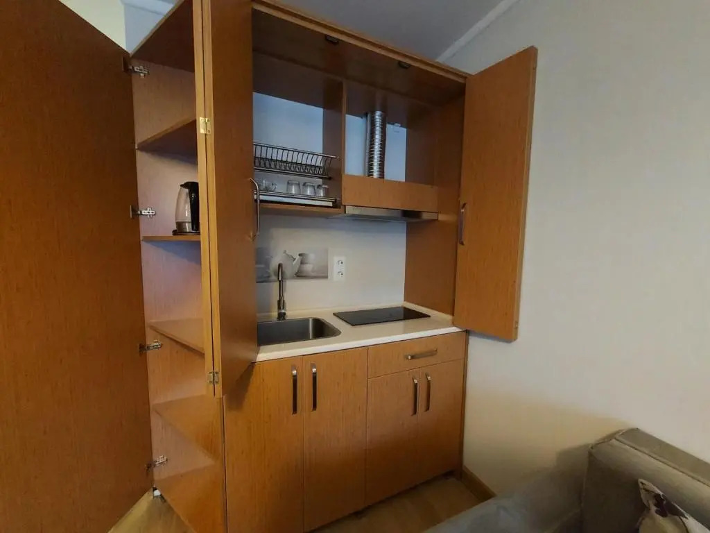 Bakuriani Orbi Palace Deluxe 330