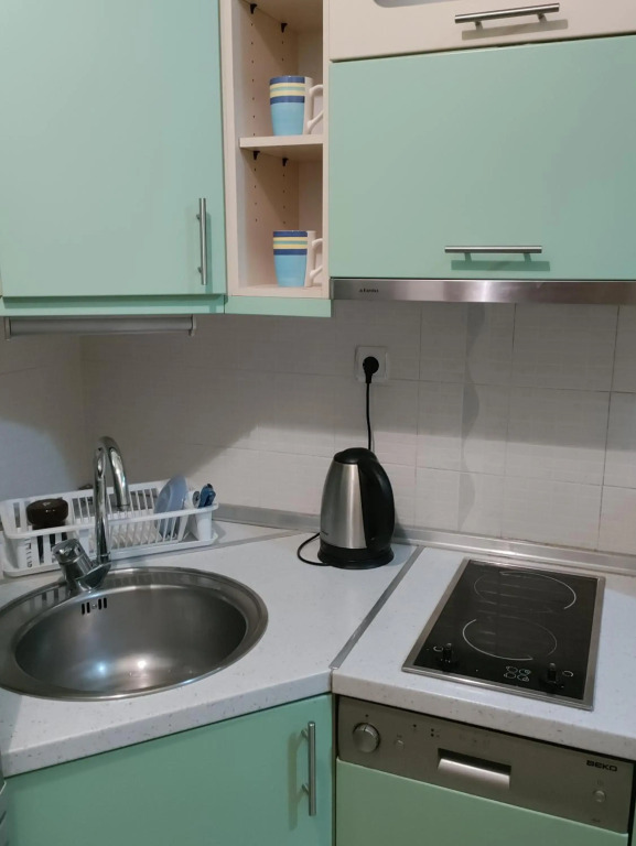 Central apartment