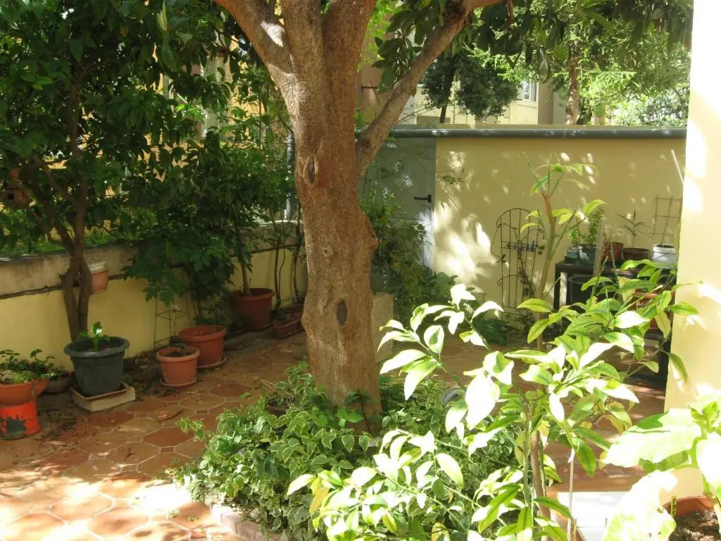 Studio Antonio