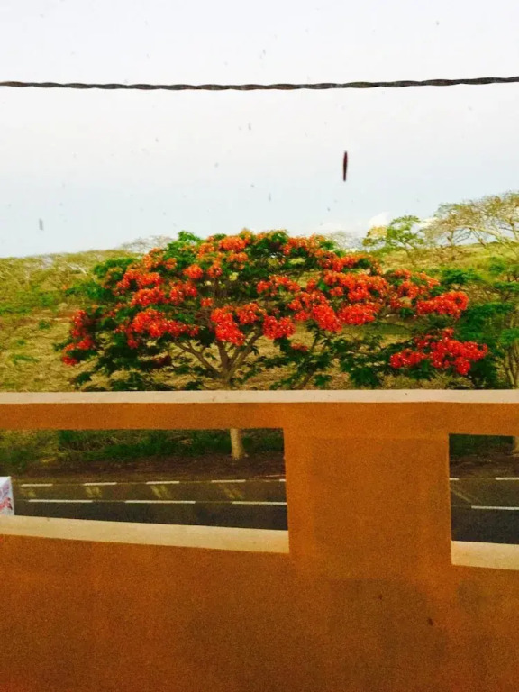 Sun & Earth Villa