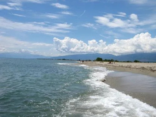 Hotel White Rose Beach