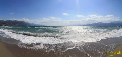 Oasis By The Sea