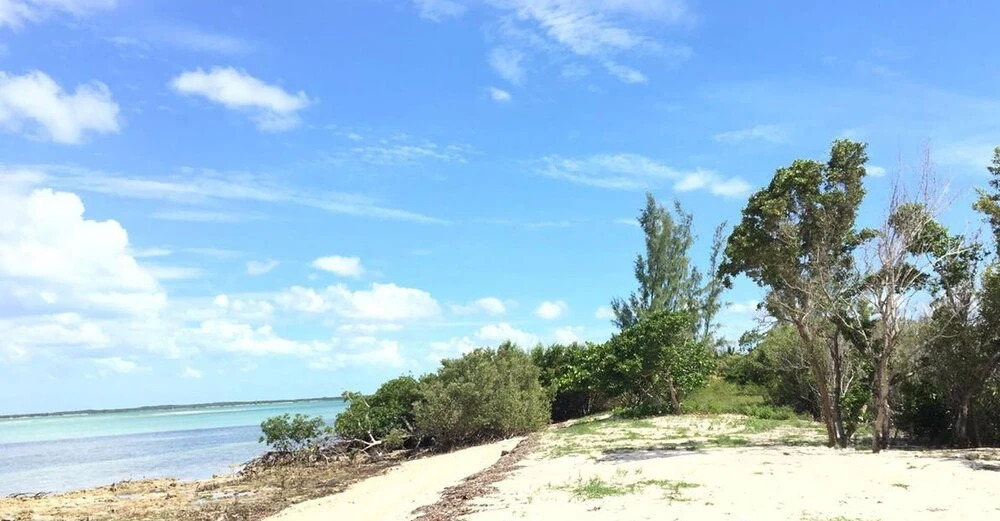 Mangrove Cay Sea View Villas
