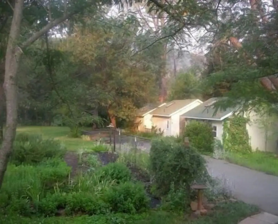 Backyard Garden Oasis