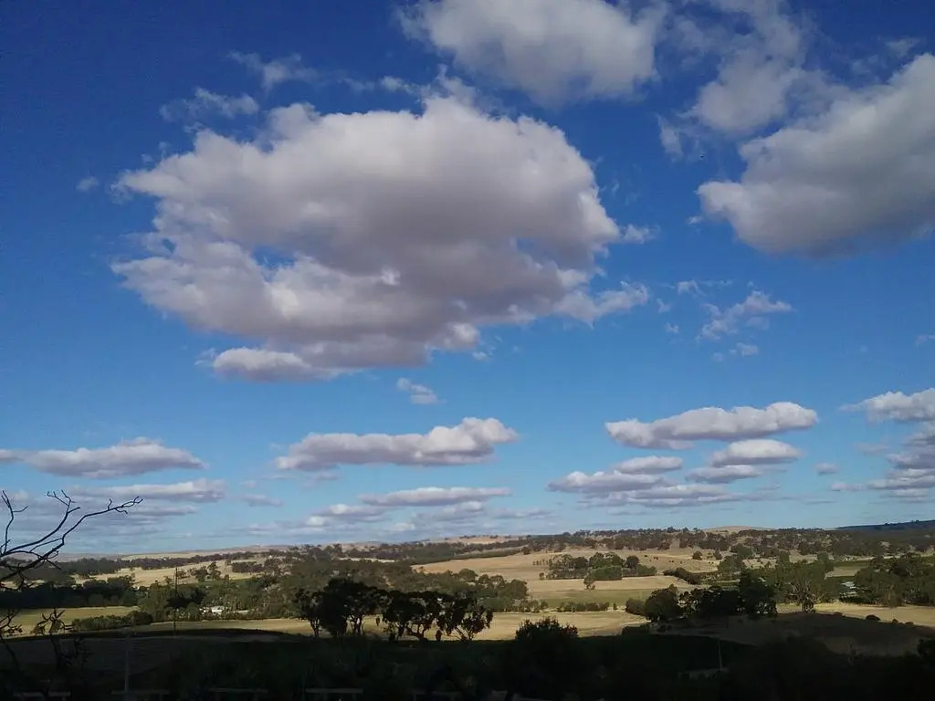 Mt Surmon Wines/Scarlattis Gallery/The Retreat