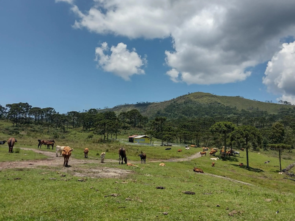 Casa de Temporada Fazenda Borba