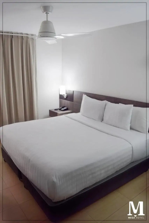 Hotel Mega
