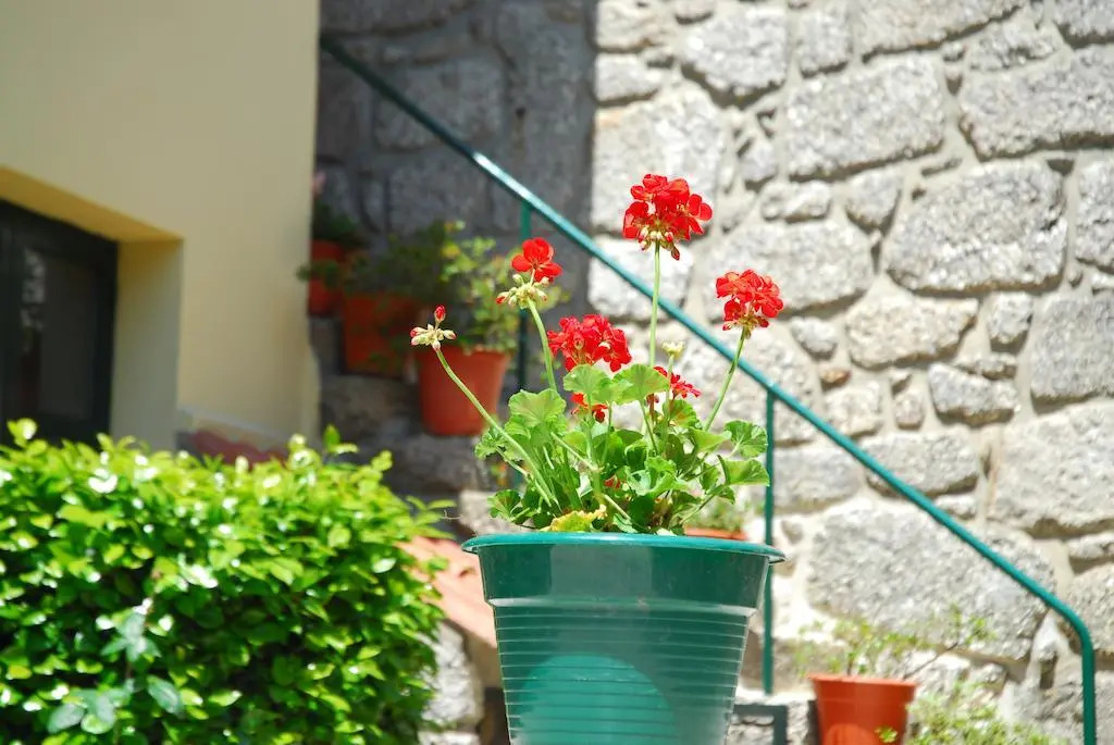 Casa Poula