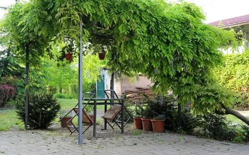 La Volpe E L'uva