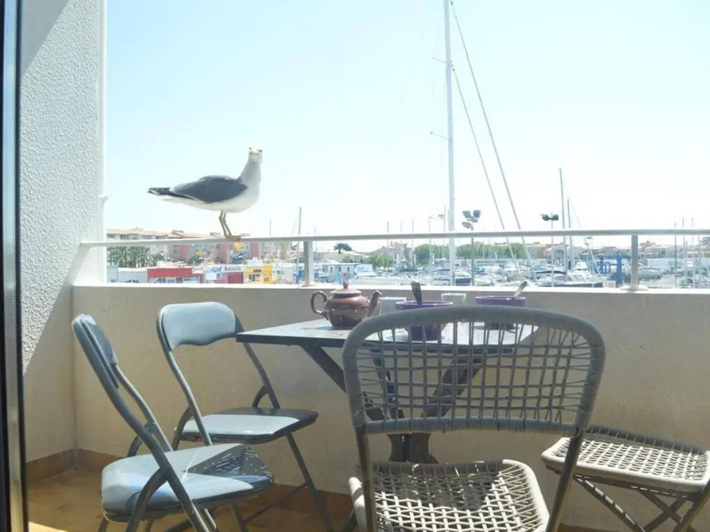 Appartement Cap d'Agde, 2 pièces, 4 personnes - FR-1-249-105