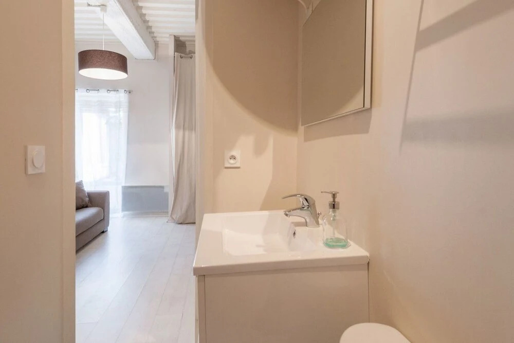 Lovely Studio in Downtown Lyon