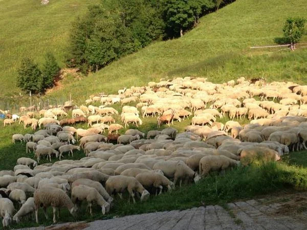 Rifugio Marchett