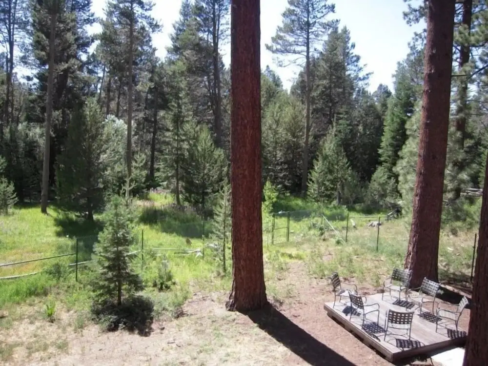 2853 Springwood Dr.