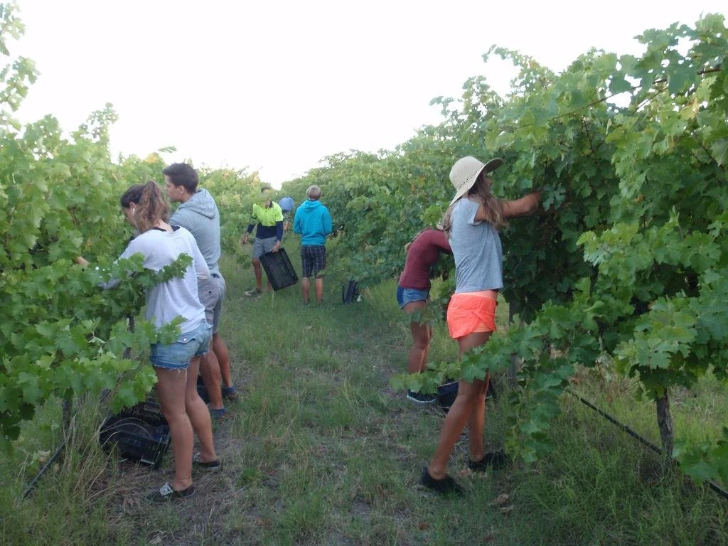 McLaren Vale Backpackers