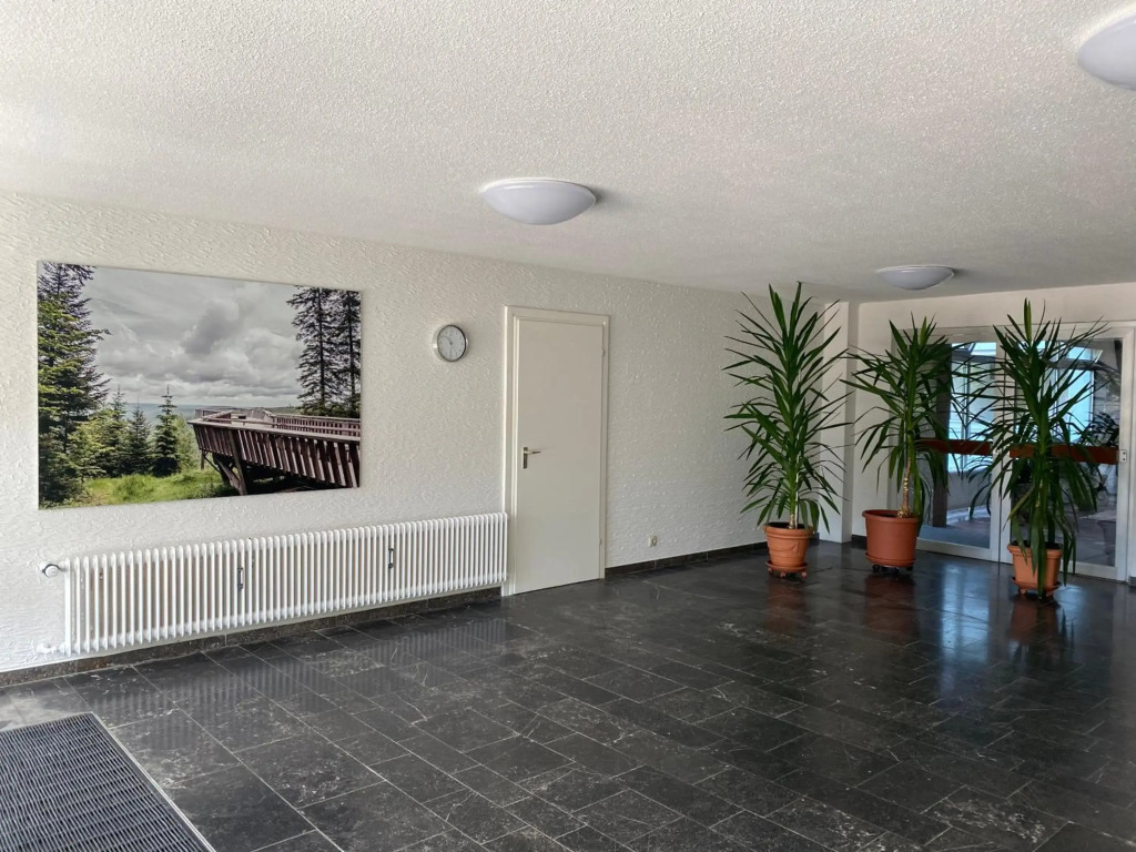 Schwarzwald Wohnung Kniebis