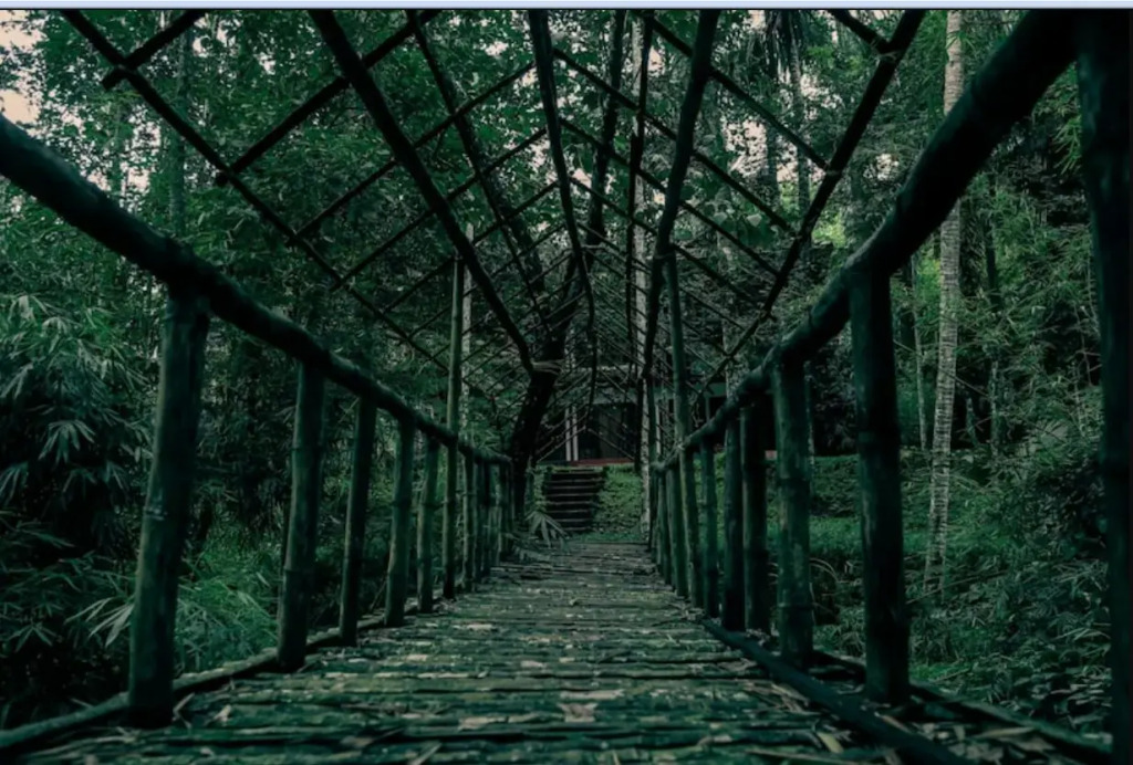 Wayanad Timber Creek Resort