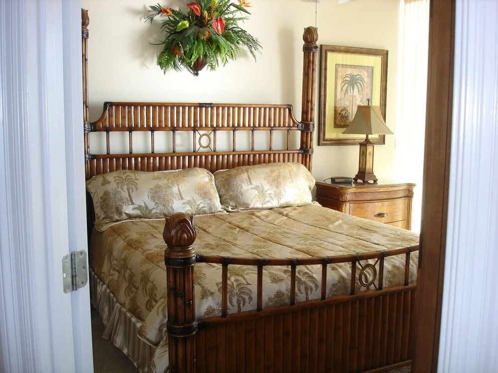 Colonnades 502