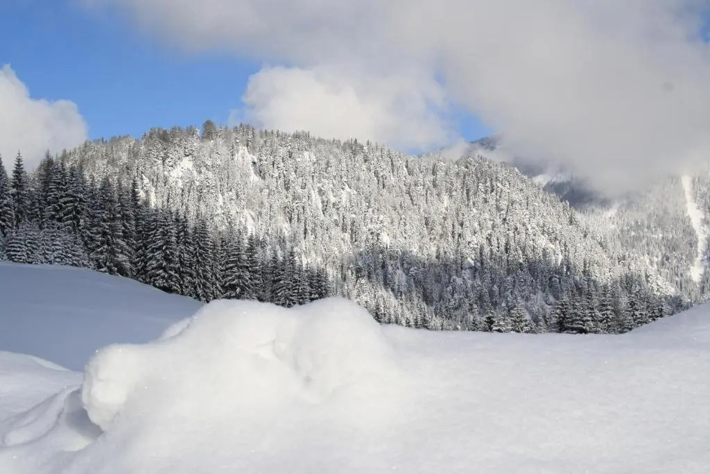 Alpengasthof Oberweissbach