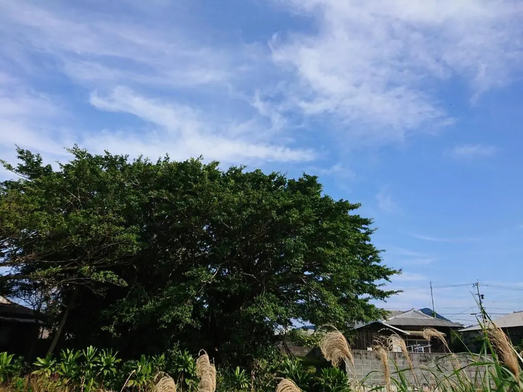 match guest house（まっちゲストハウス）