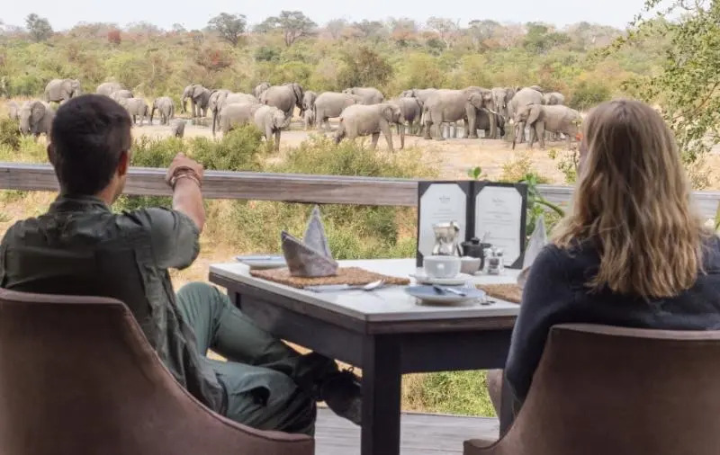 Simbambili Game Lodge