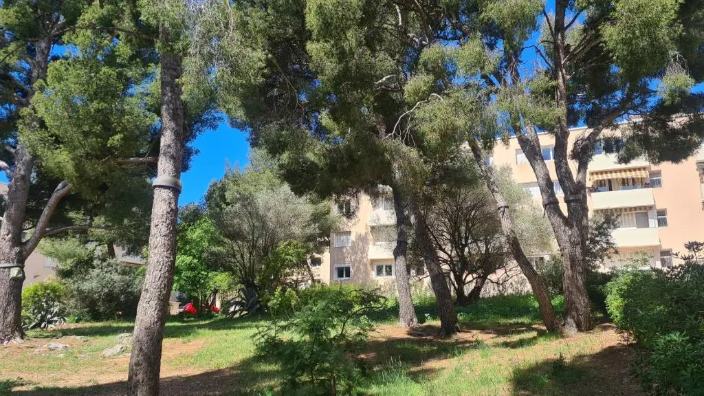 L'orée de la plage: appt. tout confort 4/6 pers. 400 m de la plage