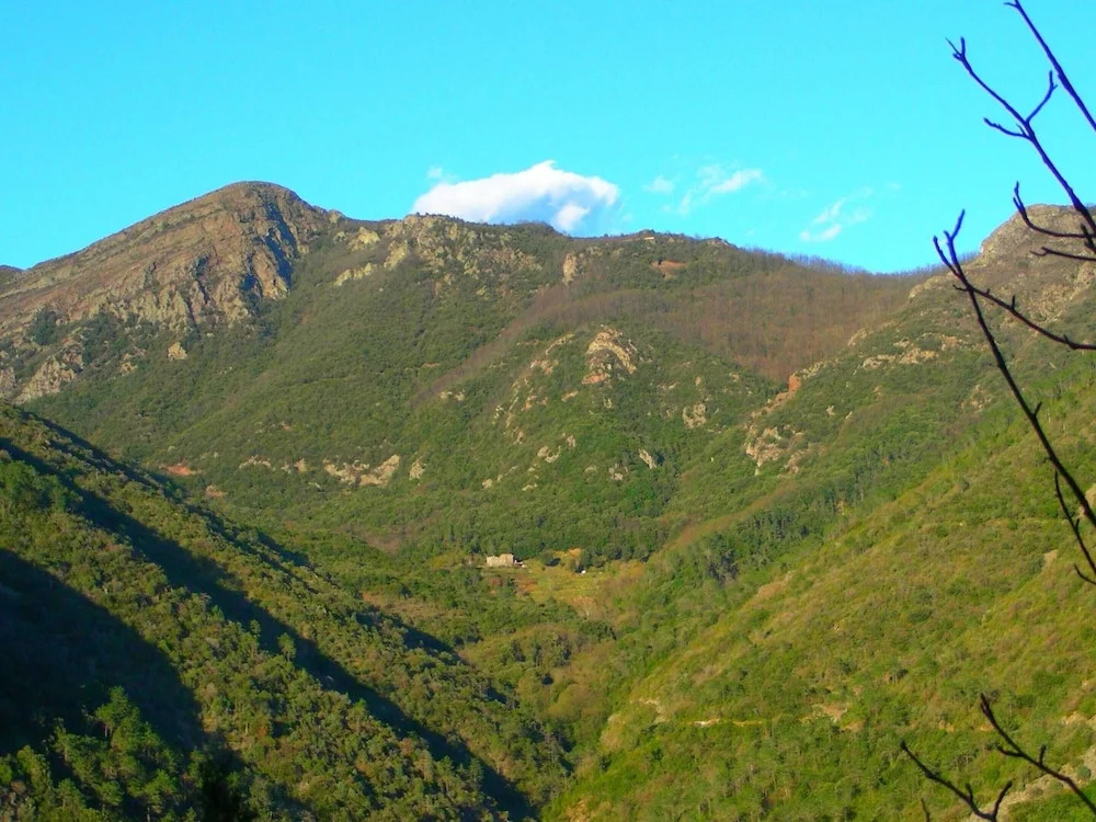Bungalow Sestri Levante Near Forest Sea