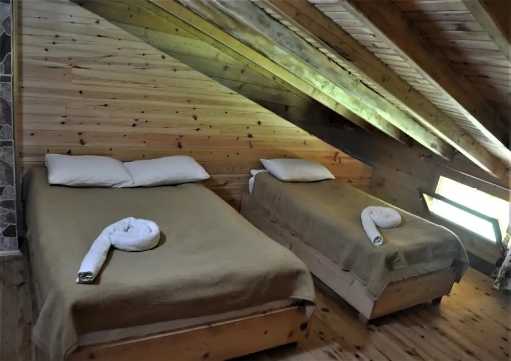 Tanevit Dag Evi