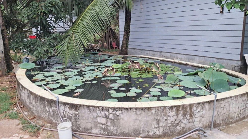Khang Nguyen Homestay Phu Quoc